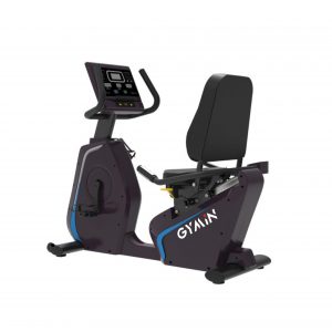 Recumbent Bike