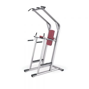 Chin Dip/Leg Raise (1150x1270x2330mm) (1’s)